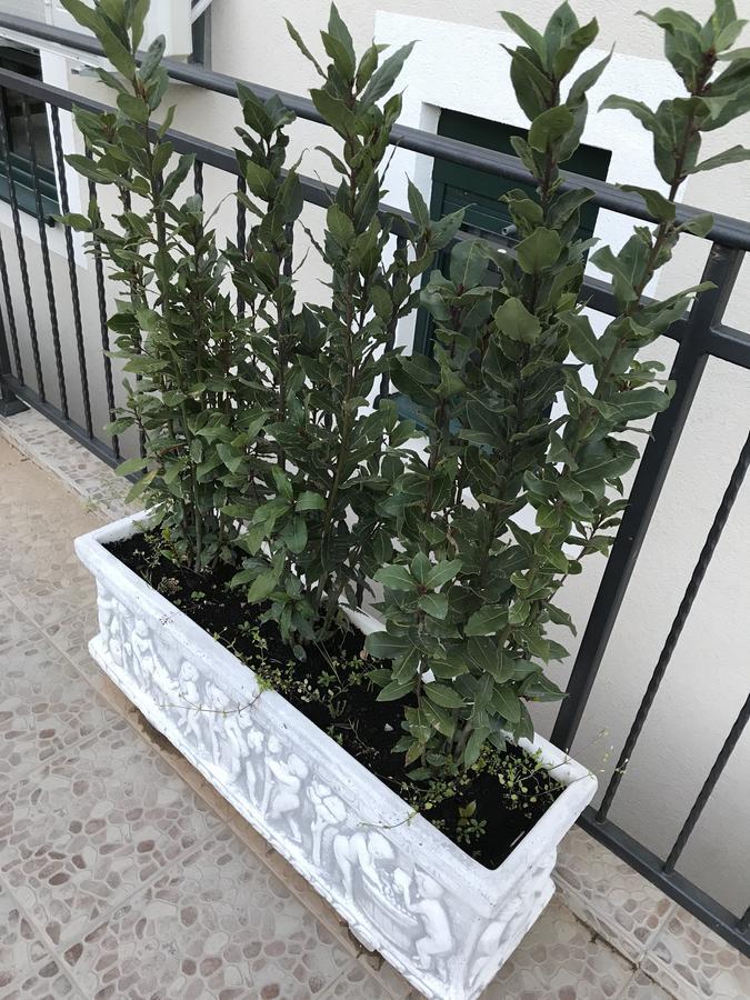 Luxury Apartment Djurasevichi Tivat Exterior photo